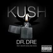Dr Dre feat. Akon & Snoop Dogg”Kush”