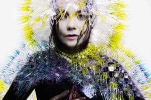 BJÖRK – VULNICURA