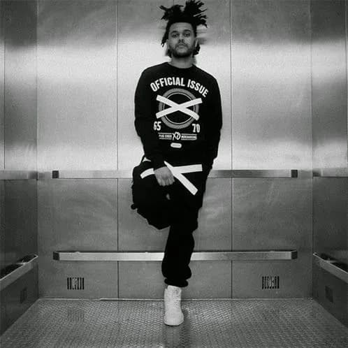 THE WEEKND – “IN THE NIGHT”