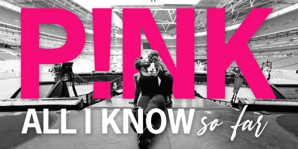 All I Know So Far- P!nk