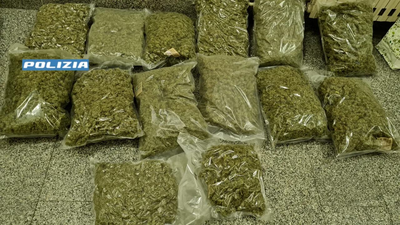 Catania, nascondeva 13 chili di marijuana in casa: arrestata 51enne