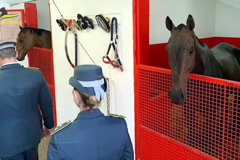 Confiscati beni a noto imprenditore di Palagonia, accertata evasione fiscale da 1,5 milioni