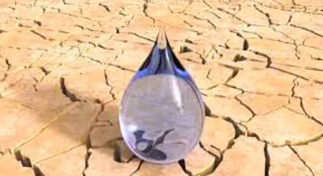 Il Catania si regala la sera più bella: è in finale di Coppa Italia!