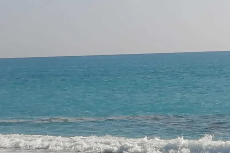 Biodiversità, “Ripristinare i nostri oceani e le nostre acque”: domande entro maggio