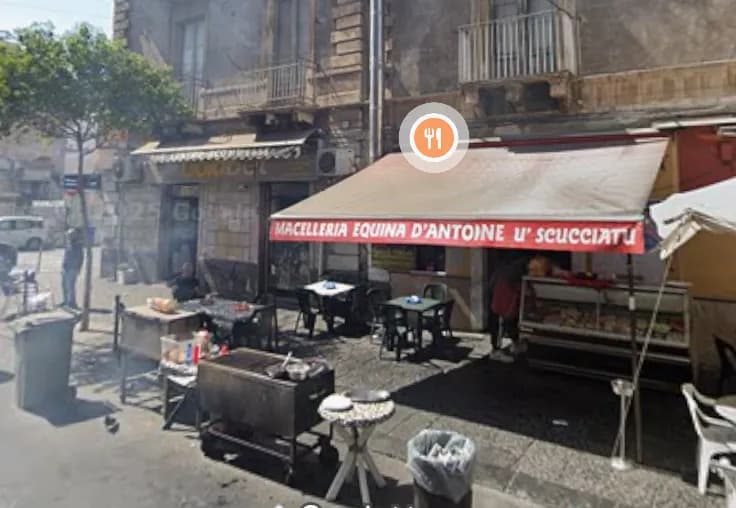 Vietare il consumo della carne di cavallo: la proposta di legge