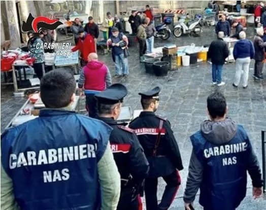 Pesce non tracciato a Catania, Nas sequestrano un quintale di alimenti