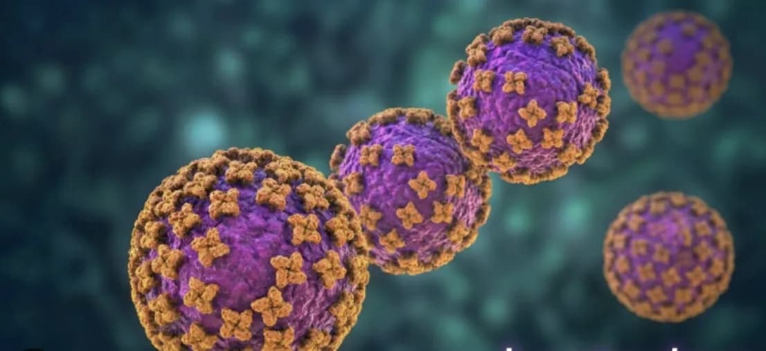 Hantavirus