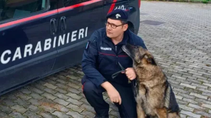 Ron, il cane antidroga va in pensione