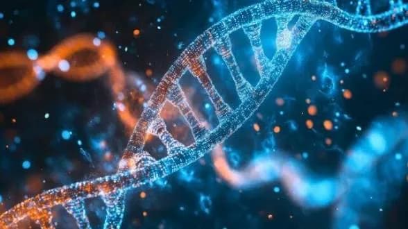La differenza cellulare tra uomini e donne