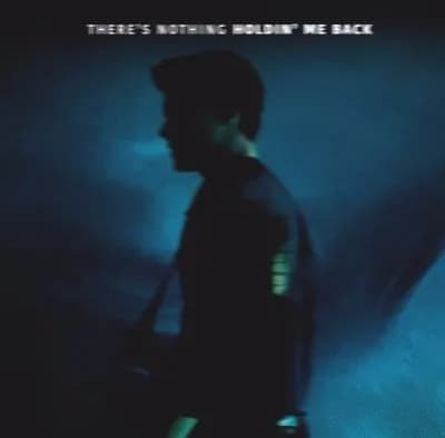 “There’s Nothing Holdin’ Me Back” – Shawn Mendes