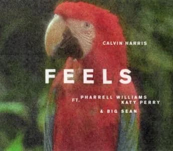 “FEELS” – CALVIN HARRIS feat. PHARRELL WILLIAMS, KATY PERRY e BIG SEAN