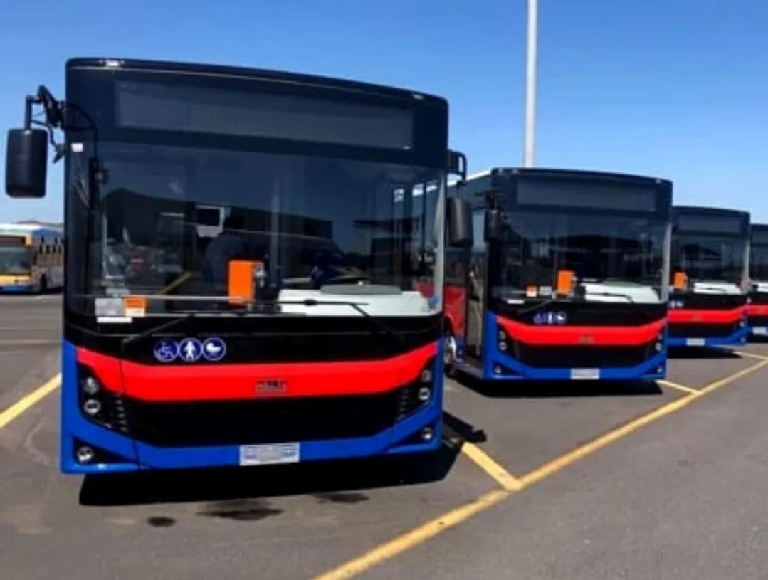 Elezioni Universitarie: ecco tutti i risultati provvisori