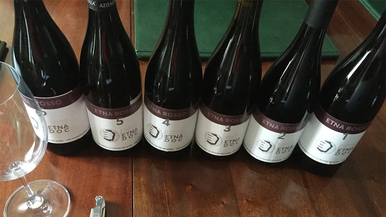 Vino, caro energia e crisi: l’allarme delle aziende siciliane