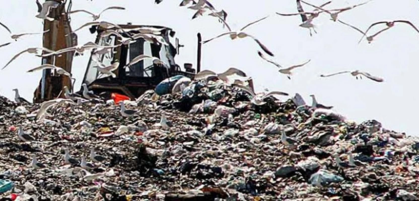 Rifiuti, più poteri a Schifani: dal Senato via libera