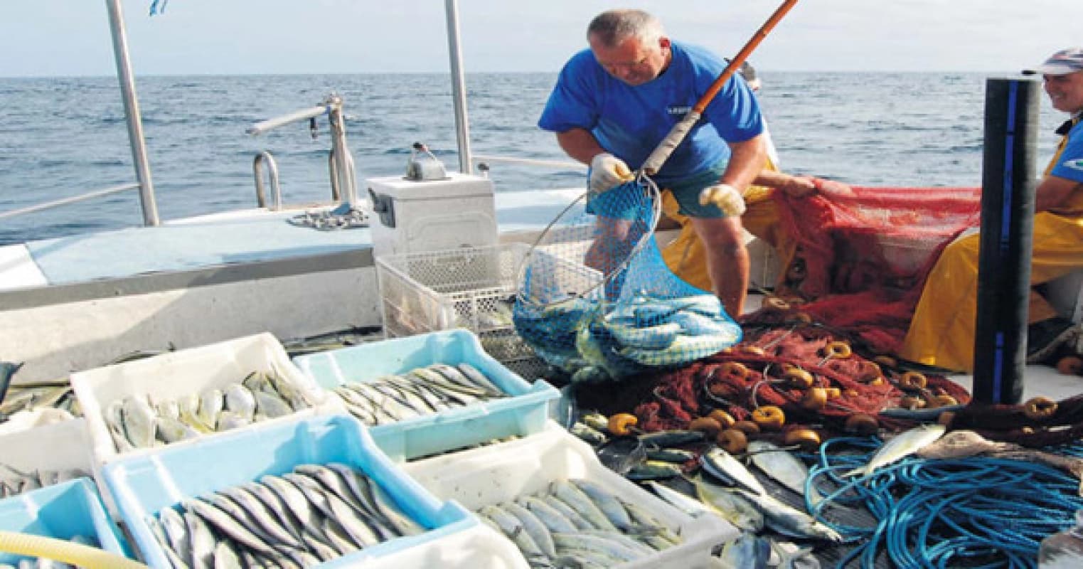 Pesca, dalla Regione 12 milioni per le aziende dell’acquacoltura sostenibile
