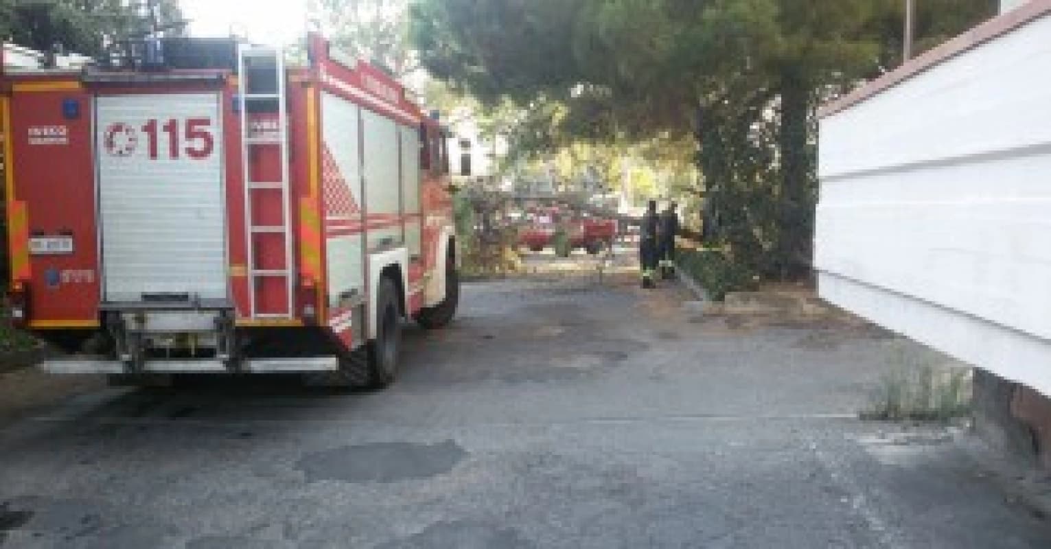 Il maltempo colpisce Palermo: numerosi interventi dei vigili del fuoco