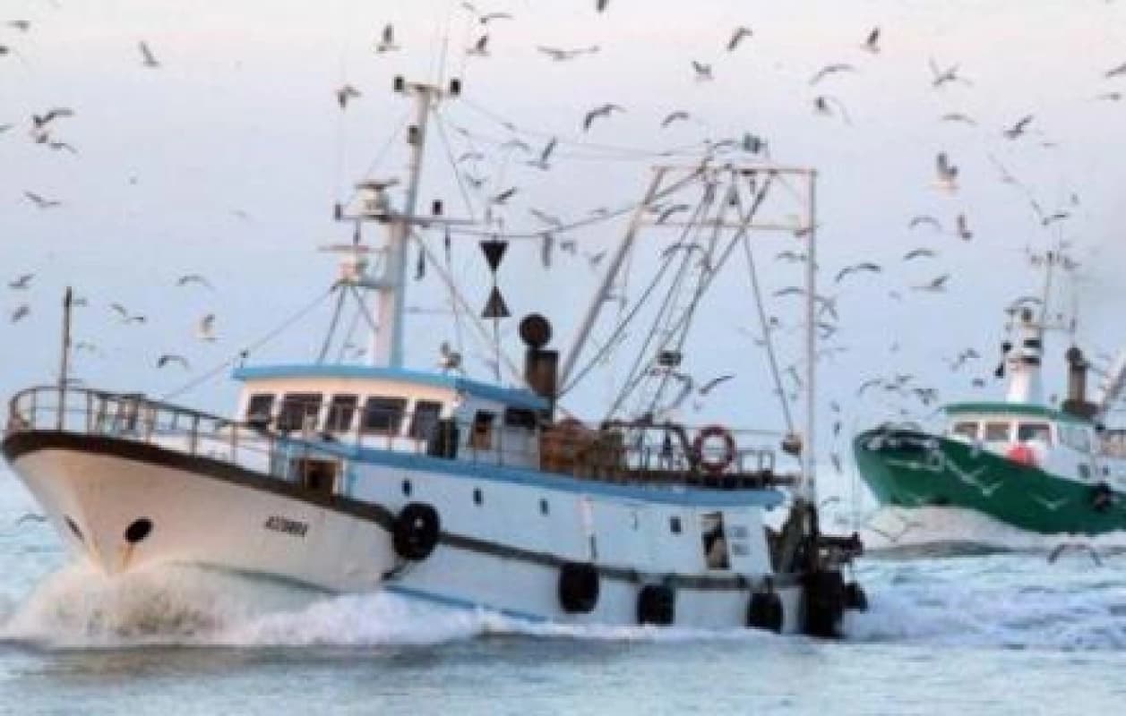 Mar Mediterraneo, l’allarme dei pescatori di Lampedusa: “Non c’è più pesce”