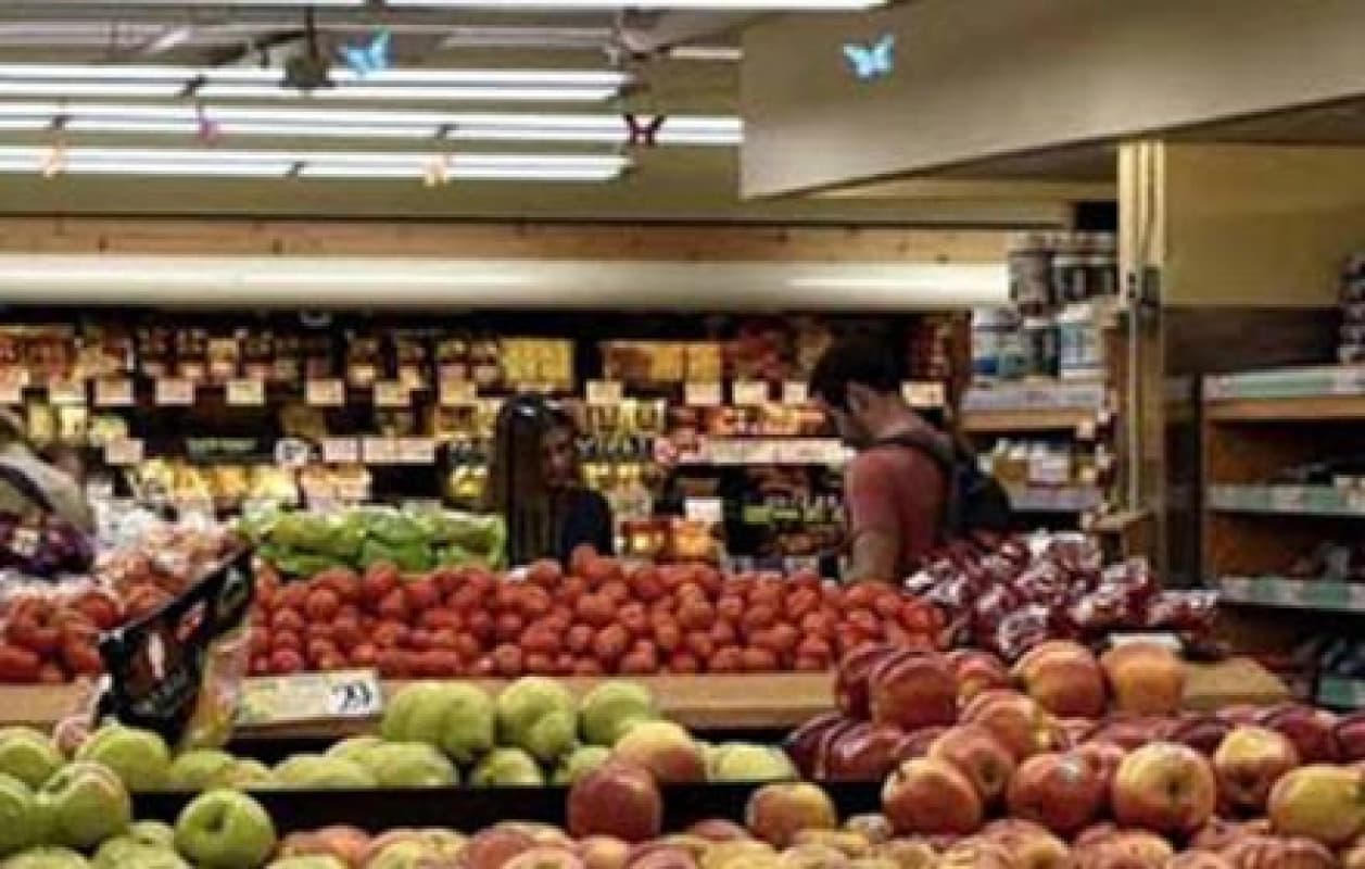 Capolarato e sfruttamento del lavoro: la vicenda nel Catanese e la nuova schiavitù