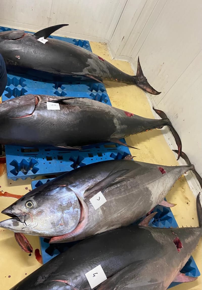 Oltre 66 tonnellate di Tonno Rosso recuperate e donate. L’Asp di Catania in prima linea contro lo spreco alimentare