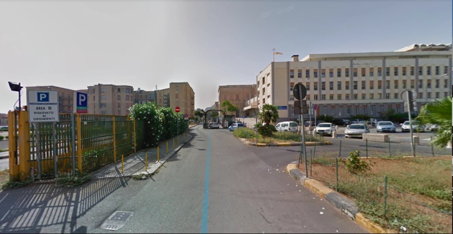 Paziente morto e reparto infestato dalle formiche, assolti i medici