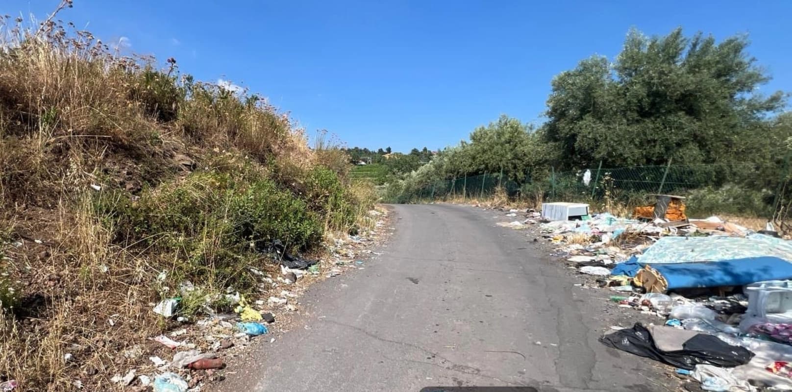 L’appello di Confagricoltura: “Disastrosa la situazione delle strade provinciali della provincia etnea”