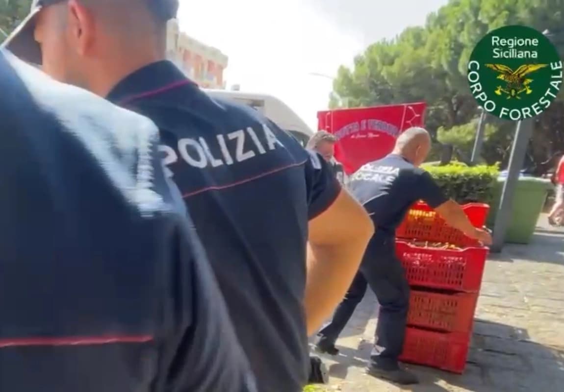 Catania, maxi sequestro di uva da tavolo al mercato di Barriera