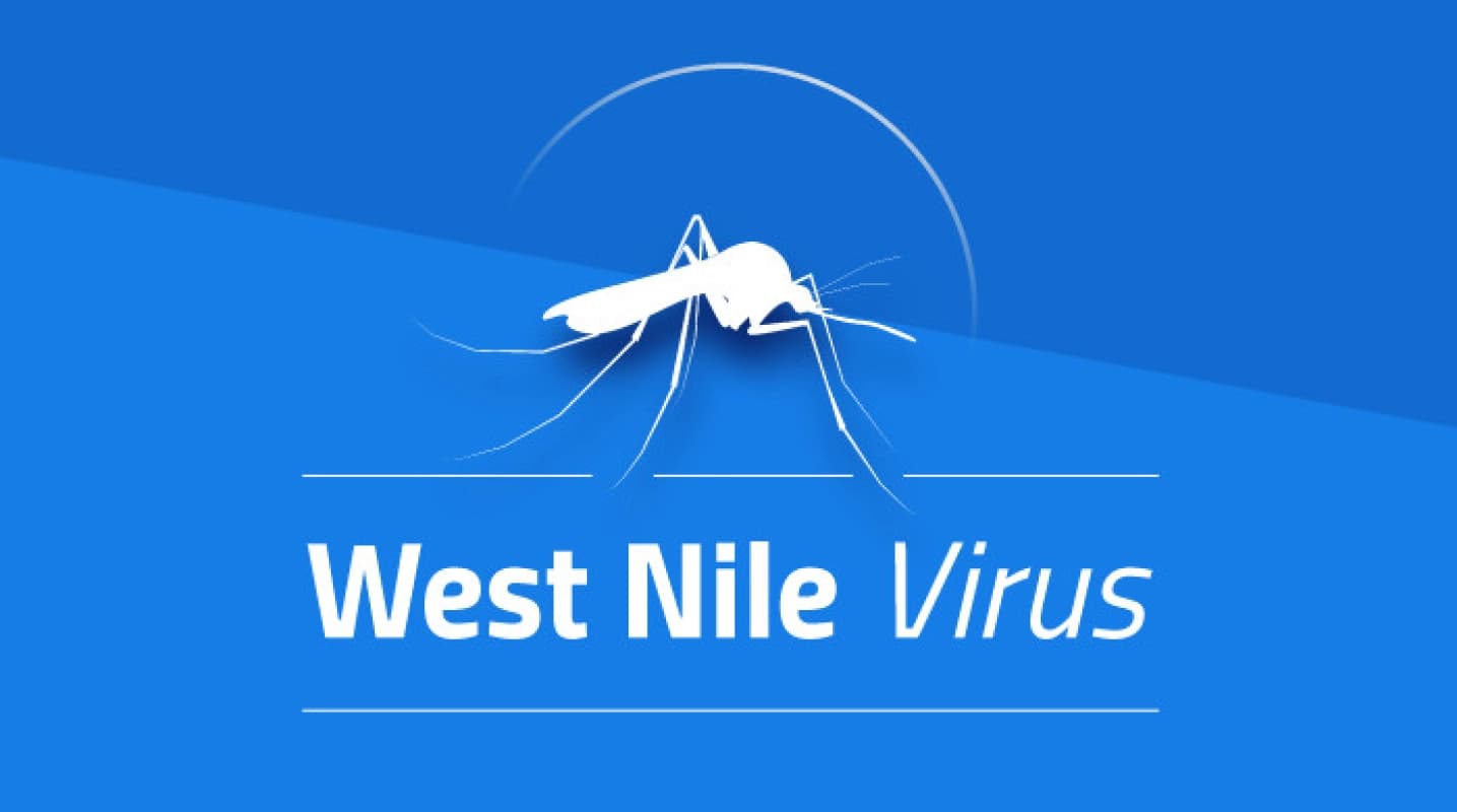 West Nile, registrato primo caso nel Catanese: le raccomandazioni degli esperti