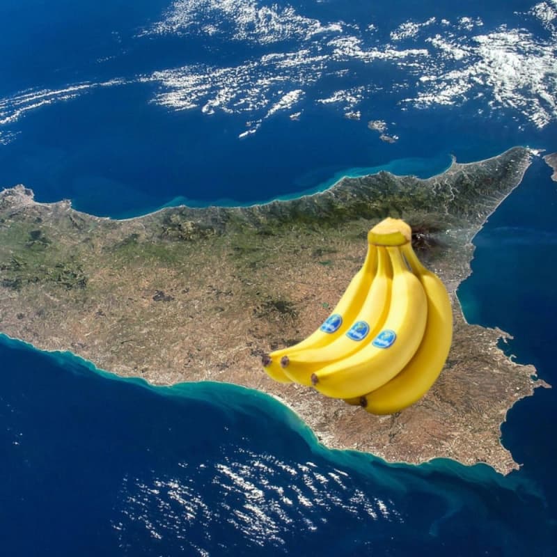 Chiquita e le banane made in Sicilia