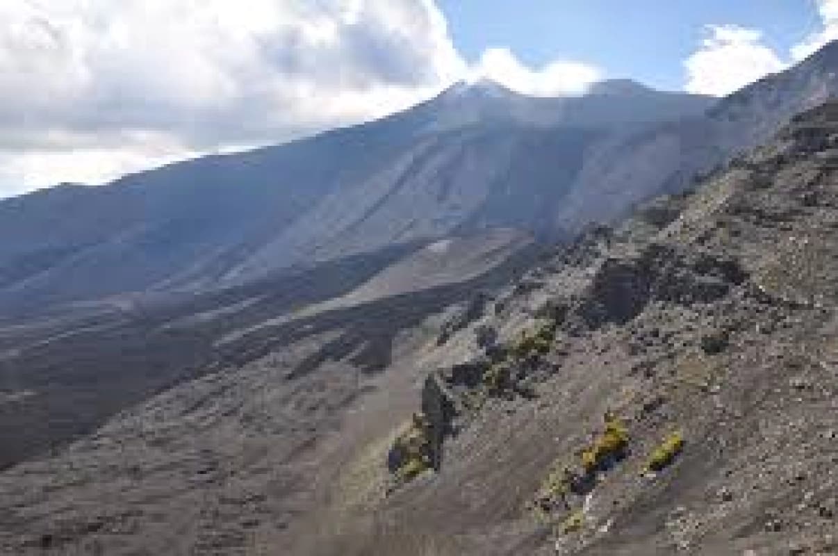 Regione, via libera a nomine per Iacp, consorzi universitari e parchi