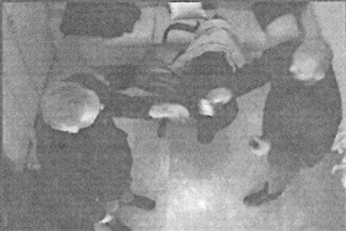 Mazzette per il rilascio delle salme, i provvedimenti del Gip