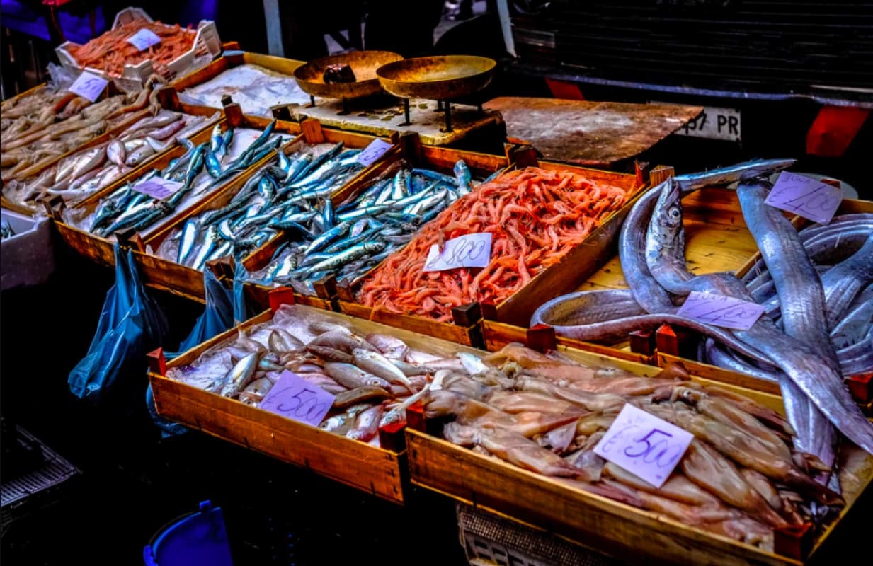 Fish Net: controlli della guardia costiera, sanzioni e sequestri