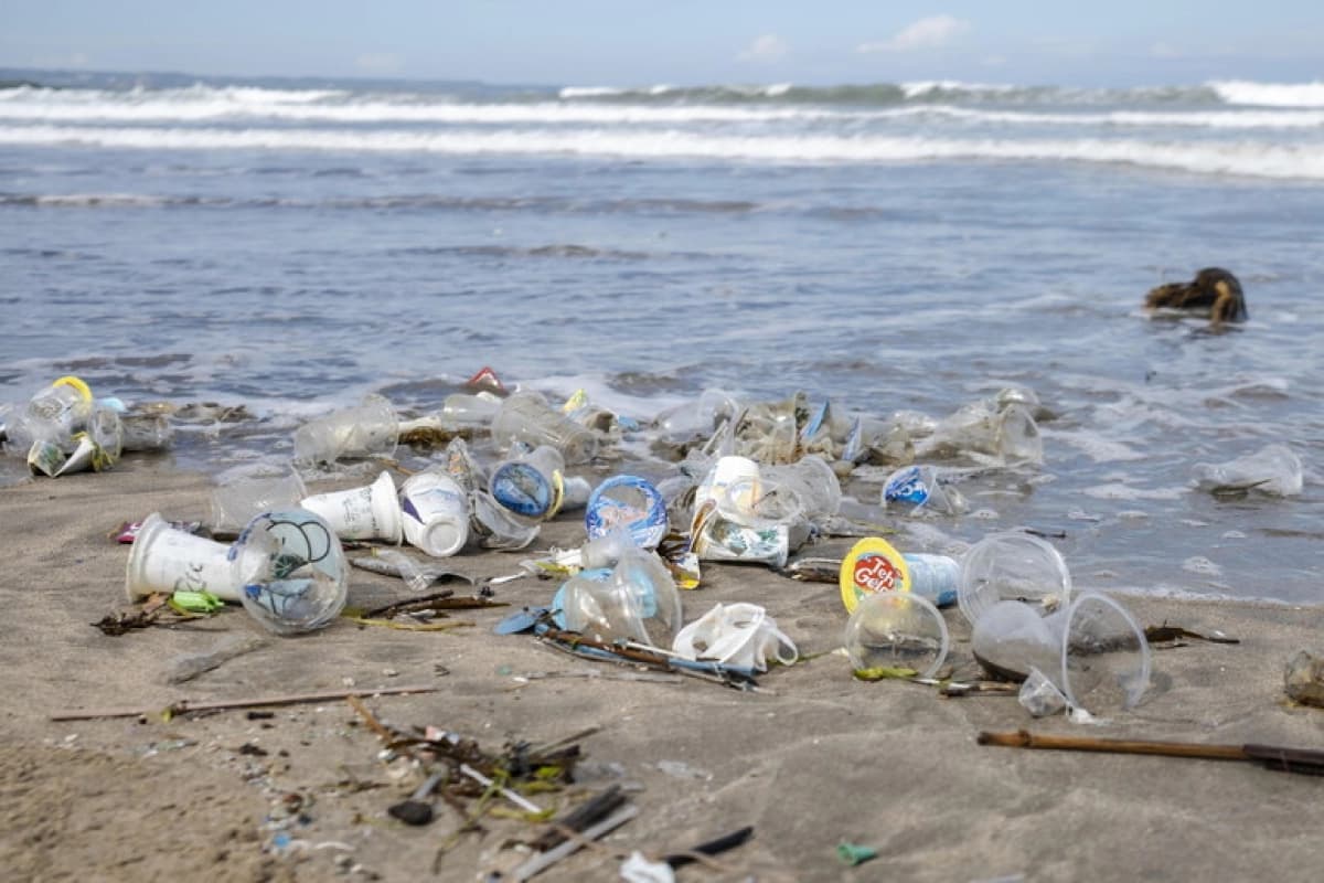 Raccolta plastica, Sicilia anche quest’anno tra le prime regioni contro l’inquinamento
