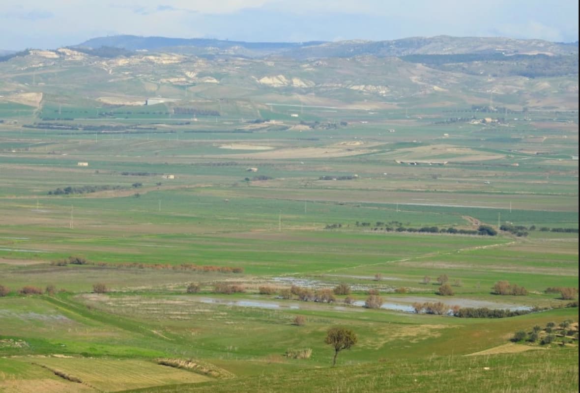 Il sindaco di Gela: “i nostri territori disponibili per la nuova Niscemi”