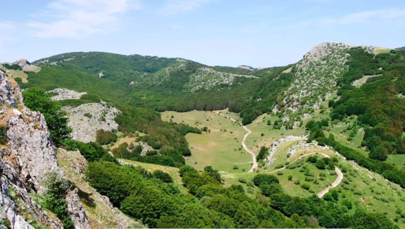 Denunciati tre bracconieri nel Parco delle Madonie