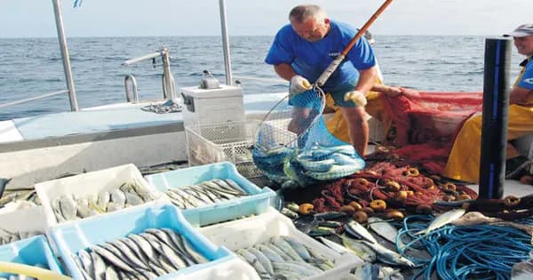 Pesca, bando della Regione da 2 milioni di euro