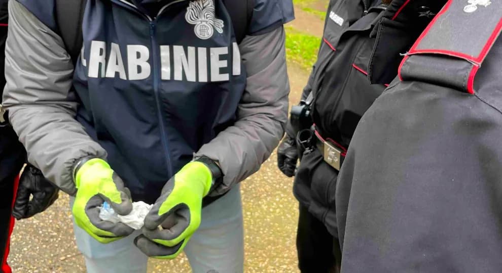 Traffico di droga, smantellate due bande