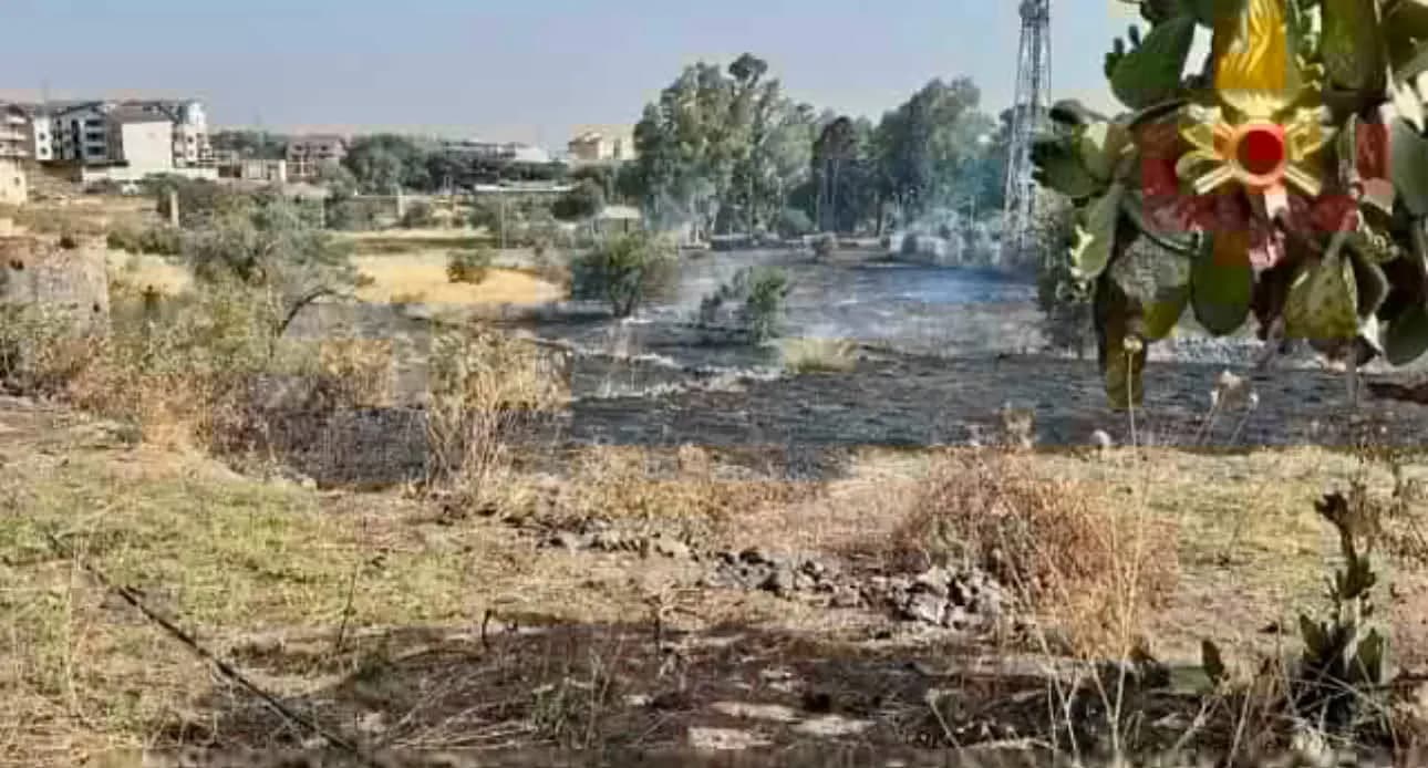 Incendi devastano la Sicilia, Raia: “Danni enormi, occorre prevenzione”