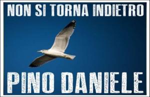  PINO DANIELE – NON SI TORNA INDIETRO