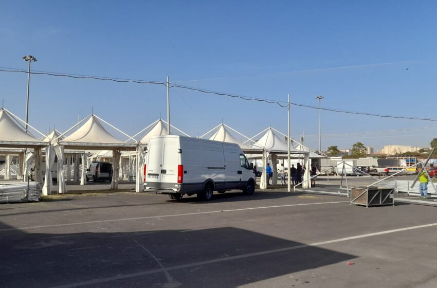  Fiera dei Morti, apertura sabato nell’ex mercato ortofrutticolo di San Giuseppe La Rena