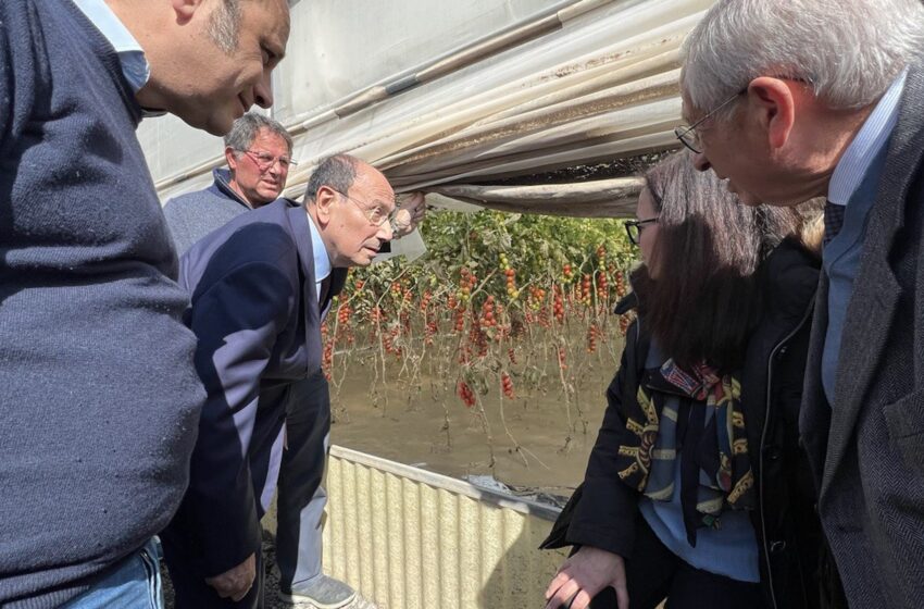  Maltempo in Sicilia, sopralluogo di Schifani nel Ragusano