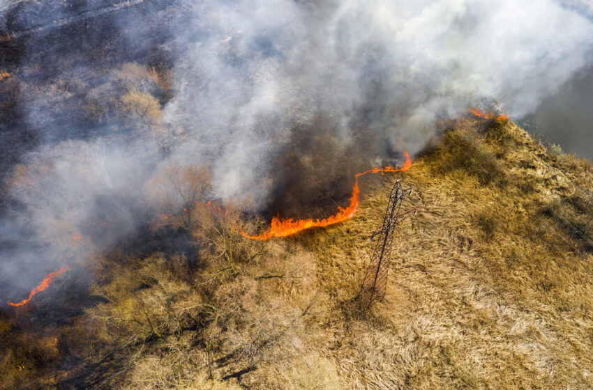  Lagalla, incendi dolosi, reati come mafia contro umanità