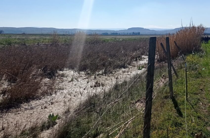  Fiumi, al via interventi finanziati dalla Regione su Carboj, Gornalunga e Cefalà