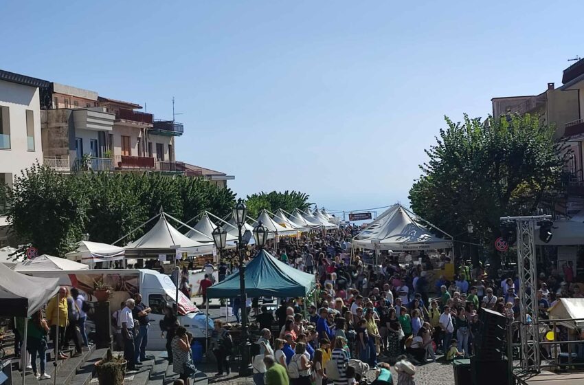  Sole, musica e cibo: Ottobrata, pienone per la giornata dedicata al miele FOTO