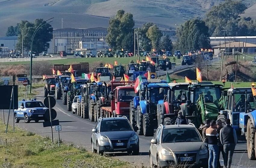  Protestano gli agricoltori nel ragusano, Confagricoltura: “In prima linea per soluzioni concrete”