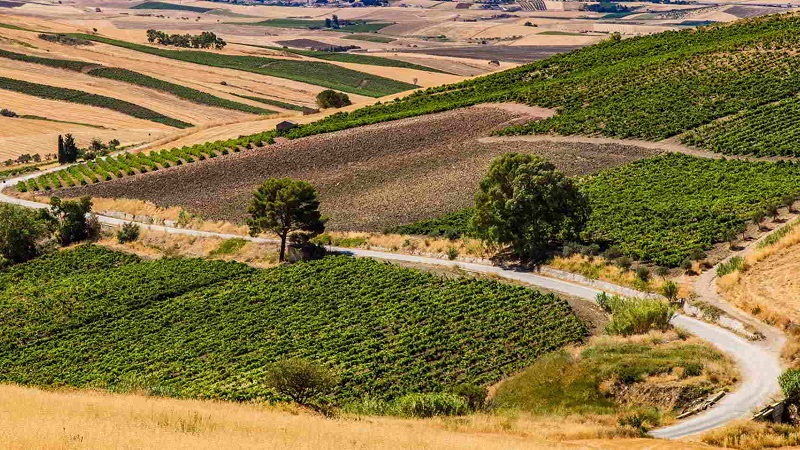  Agricoltura,  avviati lavori per miglioramento rete irrigua a Siracusa