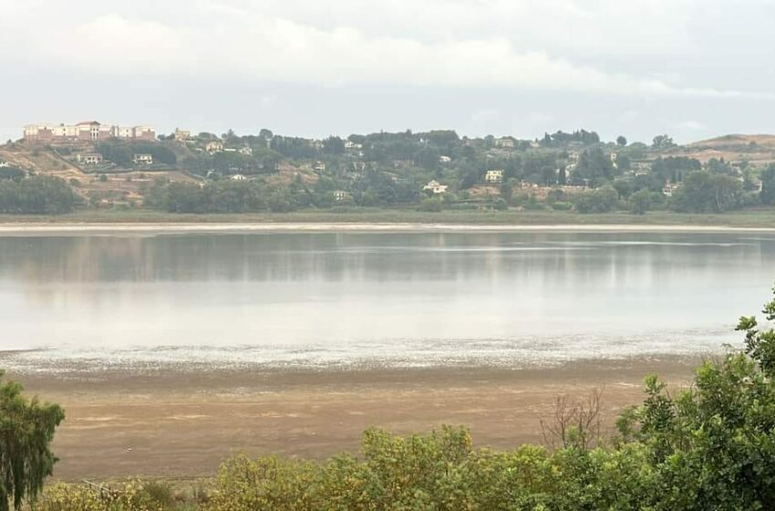  Enna, forte temporale su Pergusa: alberi caduti e fango